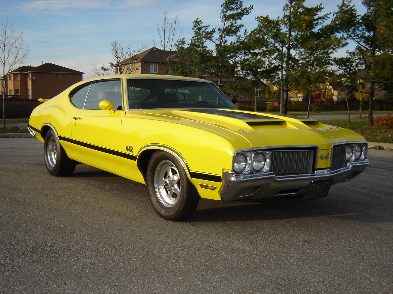 Randy Hawtin 69 cutlass